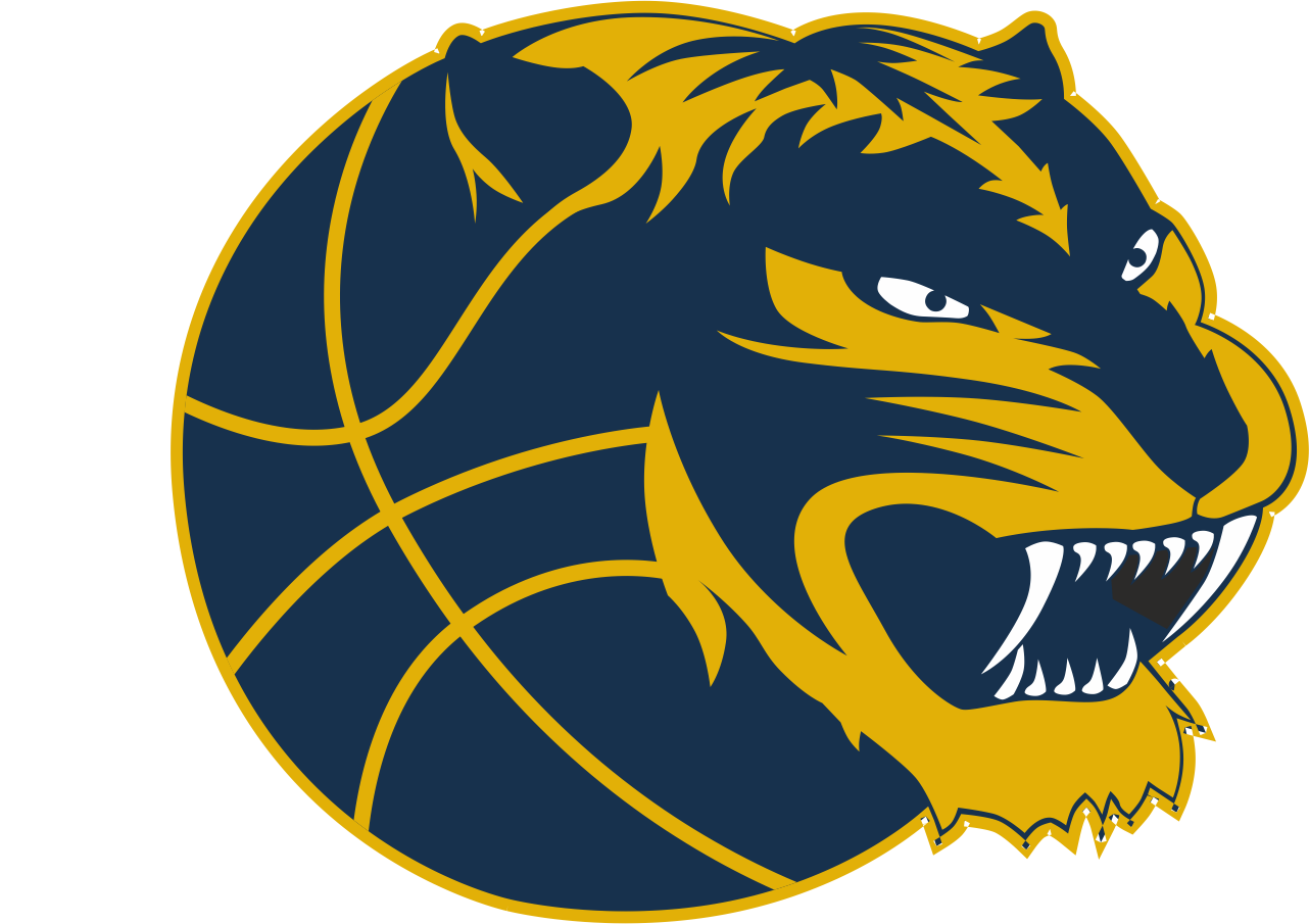 Bautzen Tigers – Basketball in Bautzen | Verein & Teams